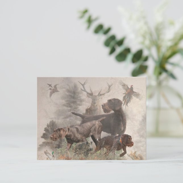 Deutsches Drahthaar Pointer Postkarte (Stehend Vorderseite)