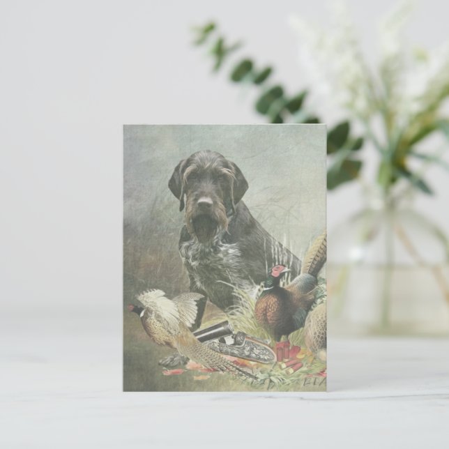 Deutsches Drahthaar Pointer Postkarte (Stehend Vorderseite)