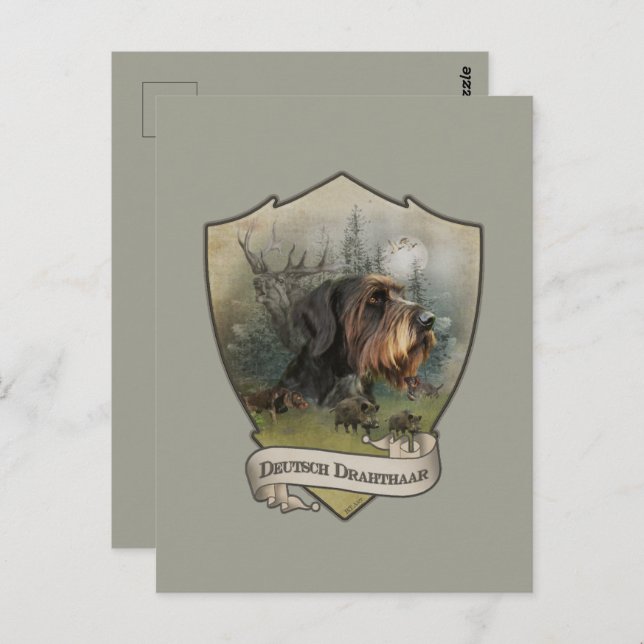 Deutsches Drahthaar Pointer Postkarte (Vorne/Hinten)