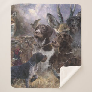 Deutsches Drahthaar Pointer Sherpadecke