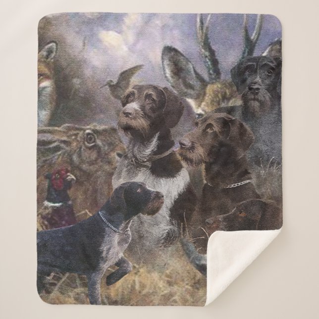 Deutsches Drahthaar Pointer Sherpadecke (Vorderseite)