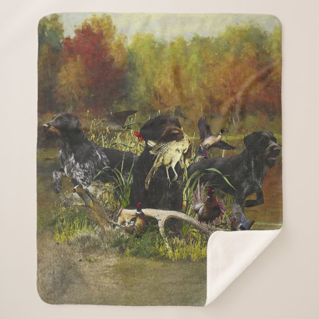 Deutsches Drahthaar Pointer Sherpadecke (Vorderseite)