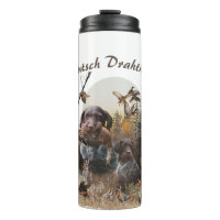 Deutsches Drahthaar Pointer