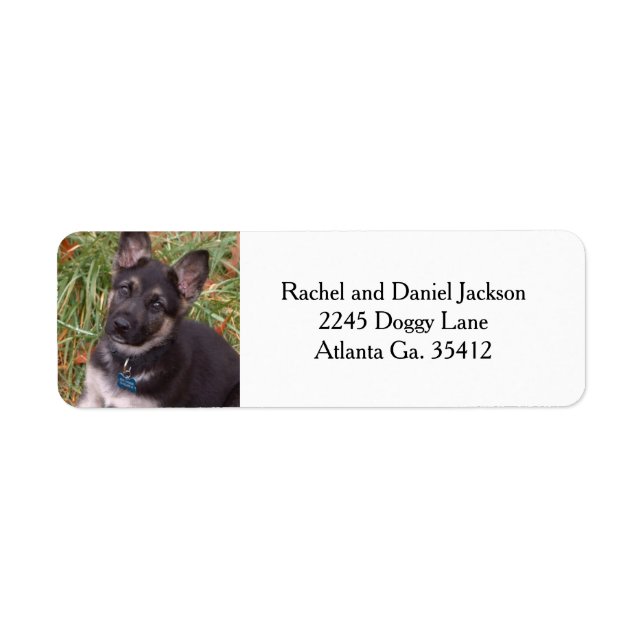Deutsches Shepherd Welppy Address Labels (Vorne)