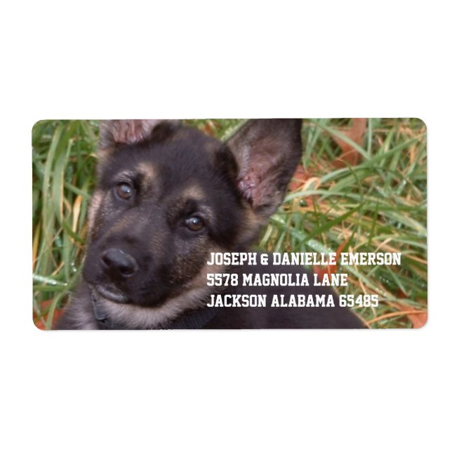 Deutsches Shepherd Welppy Address Labels (Vorne)