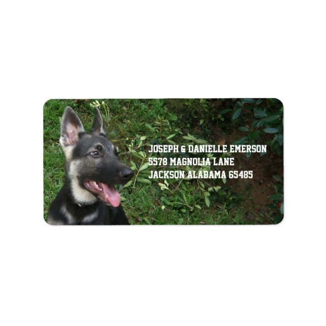 Deutsches Shepherd Welppy Address Labels Adressaufkleber (Vorne)