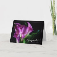 Deutsches Sympathie mit Lila Calla-Lilien