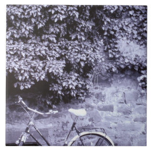 Deutschland, Baden, Wurttemberg, Heidelberg.2 Fliese