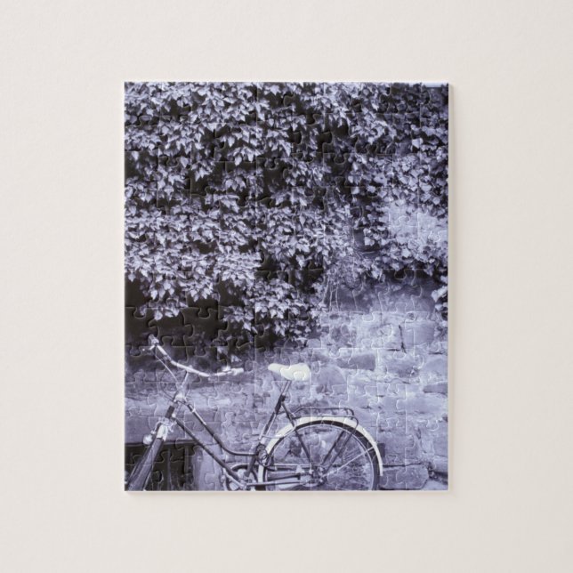 Deutschland, Baden, Wurttemberg, Heidelberg.2 Puzzle (Vertikal)