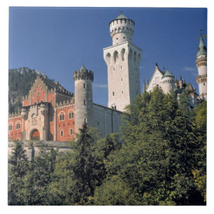 Deutschland, Bayern, Schloss Neuschwanstein. Fliese