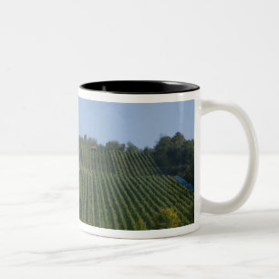 Deutschland, Franken, Rothenburg. Blick entlang de Zweifarbige Tasse