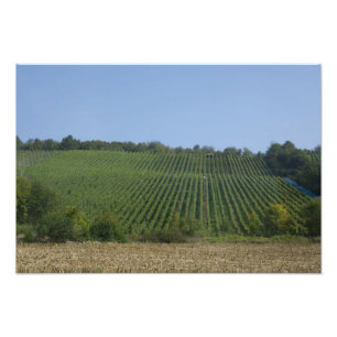 Deutschland, Frankreich, Rothenburg. Aussicht entl Fotodruck