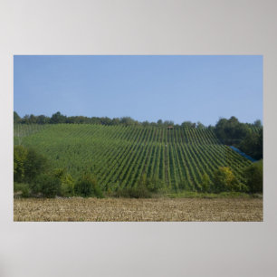 Deutschland, Frankreich, Rothenburg. Aussicht entl Poster