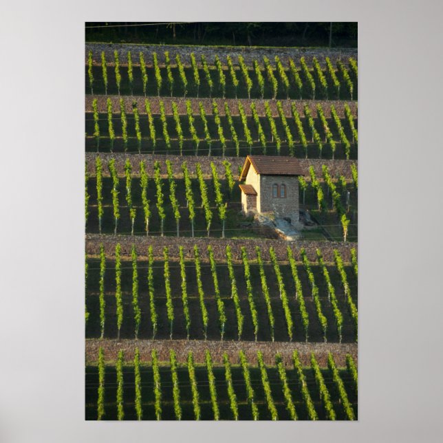 Deutschland, Frankreich, Wertheim. Besondere Hangl Poster (Vorne)