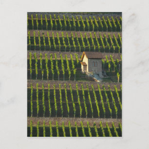 Deutschland, Frankreich, Wertheim. Besondere Hangl Postkarte