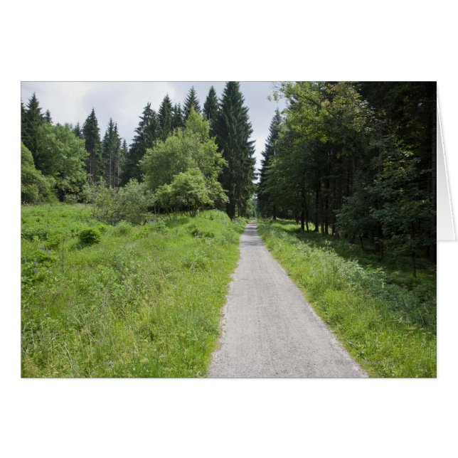 Deutschland, Thüringen, Waldweg (Vorderseite (Horizontal))