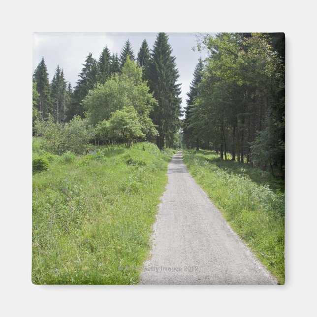 Deutschland, Thüringen, Waldweg Magnet (Vorne)