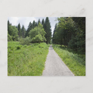 Deutschland, Thüringen, Waldweg Postkarte