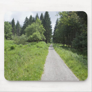 Deutschland, Thüringen, Weg im Wald Mousepad