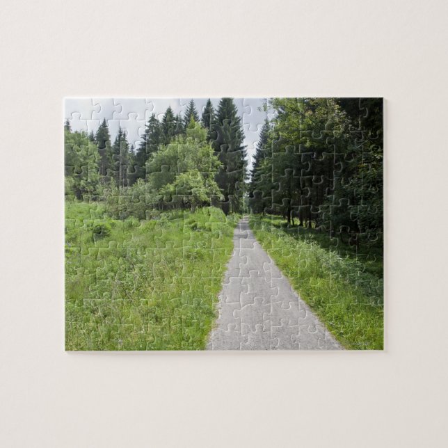 Deutschland, Thüringen, Weg im Wald Puzzle (Horizontal)