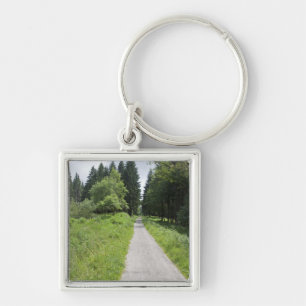 Deutschland, Thüringen, Weg im Wald Schlüsselanhänger