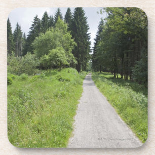 Deutschland, Thüringen, Weg im Wald Untersetzer