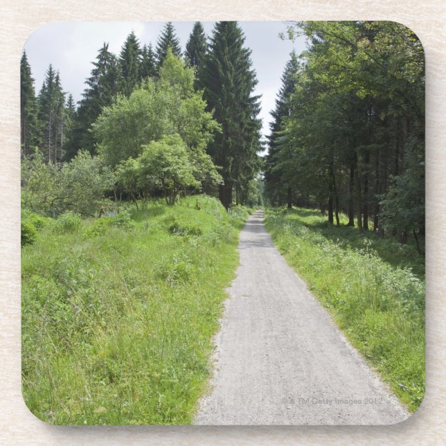 Deutschland, Thüringen, Weg im Wald Untersetzer (Vorderseite)