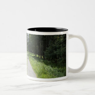 Deutschland, Thüringen, Weg im Wald Zweifarbige Tasse