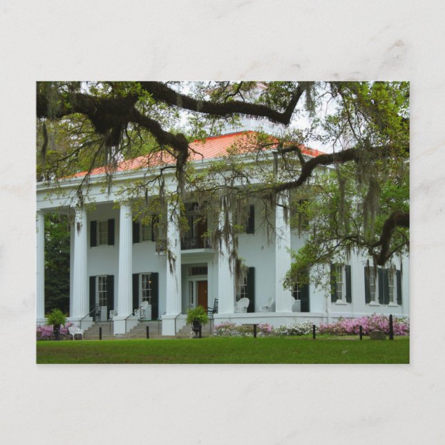 D'Evereux Antebellum Zuhause - Natchez, MS Postkarte (Vorderseite)