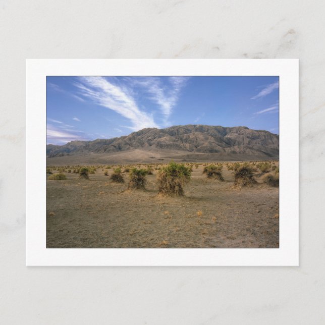 "Devils Cornfield" Postkarte (Vorderseite)