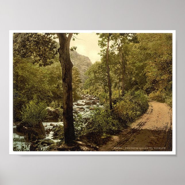 Devils Glen, Ashford, Landkreis Wicklow Irland Poster (Vorne)