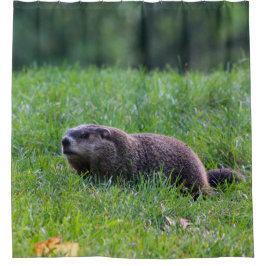 Devils Hole Digger Duschvorhang