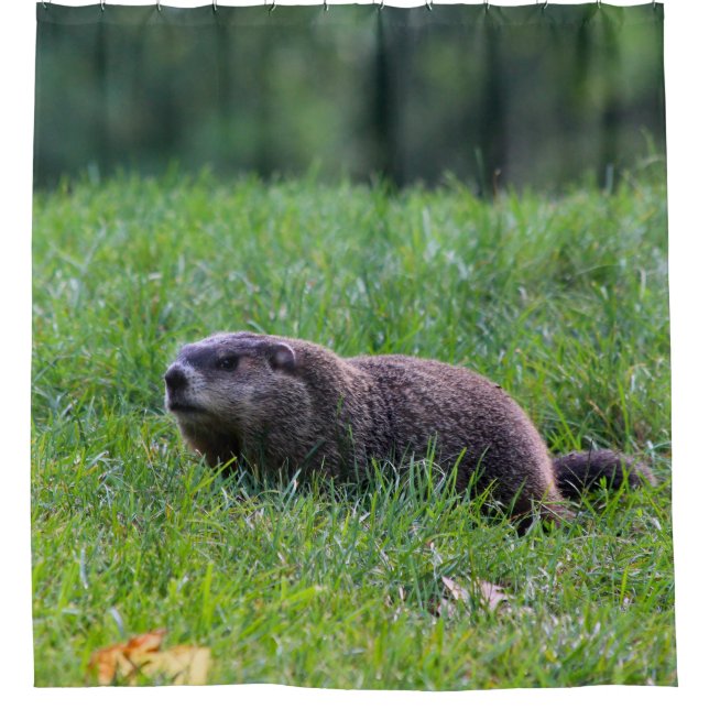 Devils Hole Digger Duschvorhang (Vorderseite)