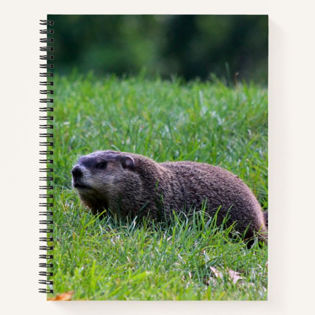 Devil's Hole Graber Notizbuch (Vorderseite)
