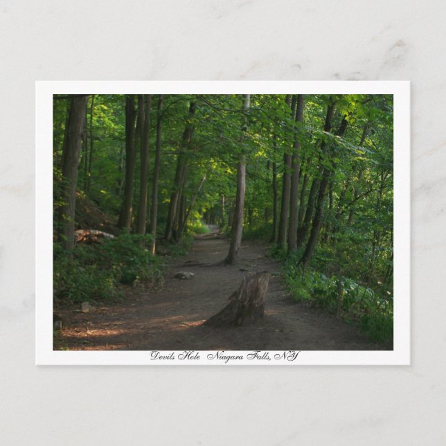 Devils    HoleNiagara Falls, NY Postkarte (Vorderseite)
