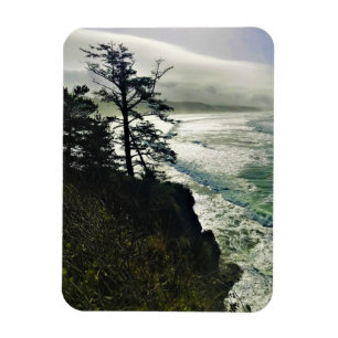 Devil's Punchbowl Staat Park, Newport, Oregon Magnet