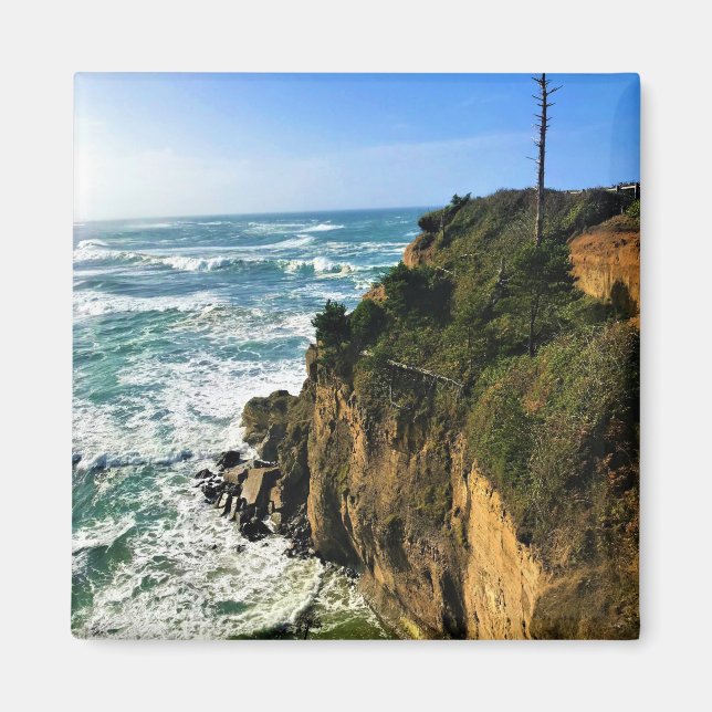 Devil's Punchbowl Staat Park, Newport, Oregon Magnet (Vorne)