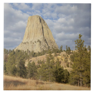 Devils Tower National Monument Fliese