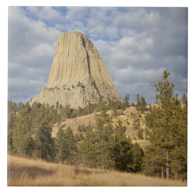 Devils Tower National Monument Fliese (Vorderseite)