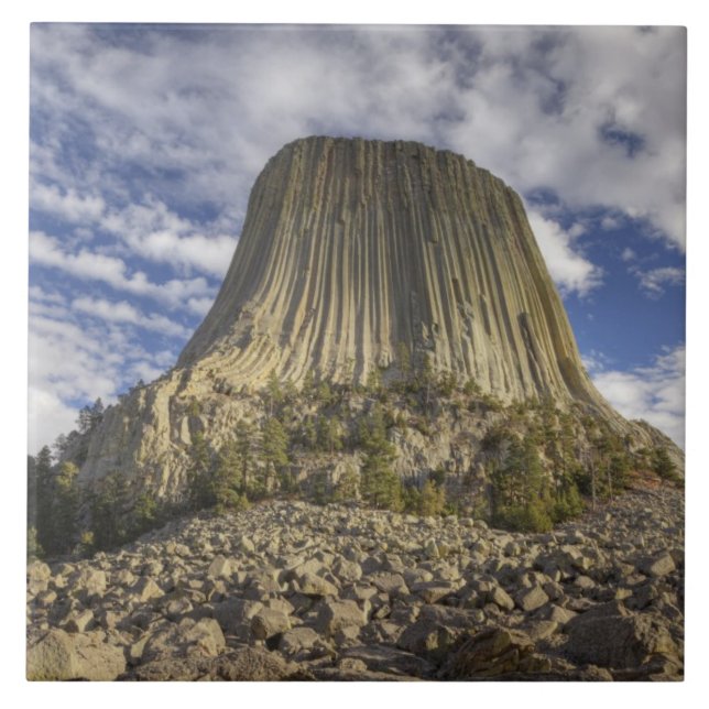 Devils Tower National Monument Fliese (Vorderseite)