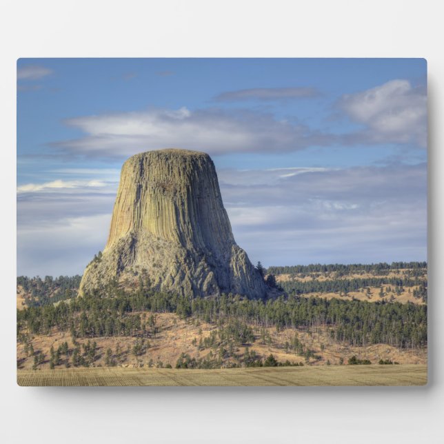 Devils Tower National Monument Fotoplatte (Vorderseite)