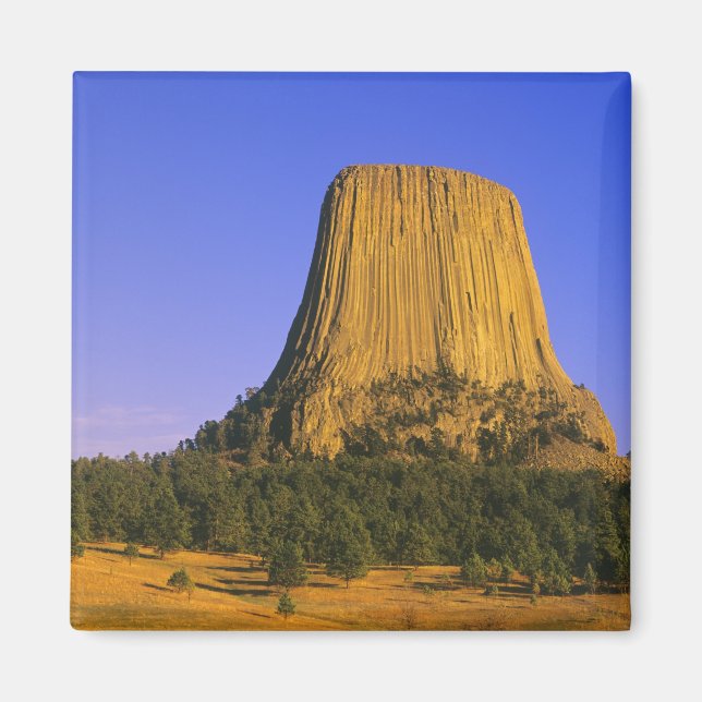 Devils Tower National Monument in Wyoming Magnet (Vorne)