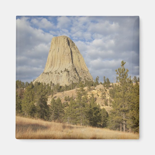 Devils Tower National Monument Magnet (Vorne)