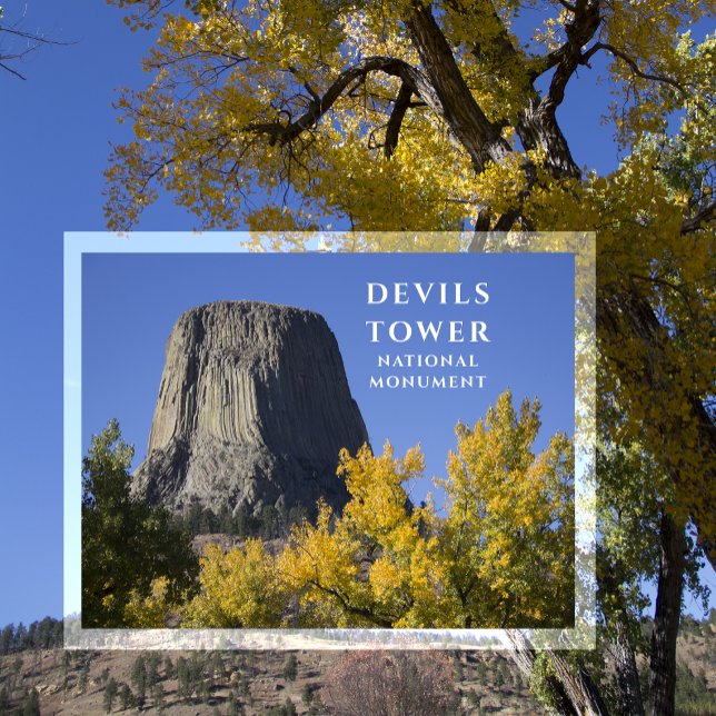 Devils Tower National Monument Trees Fall Foliage Postkarte (Von Creator hochgeladen)