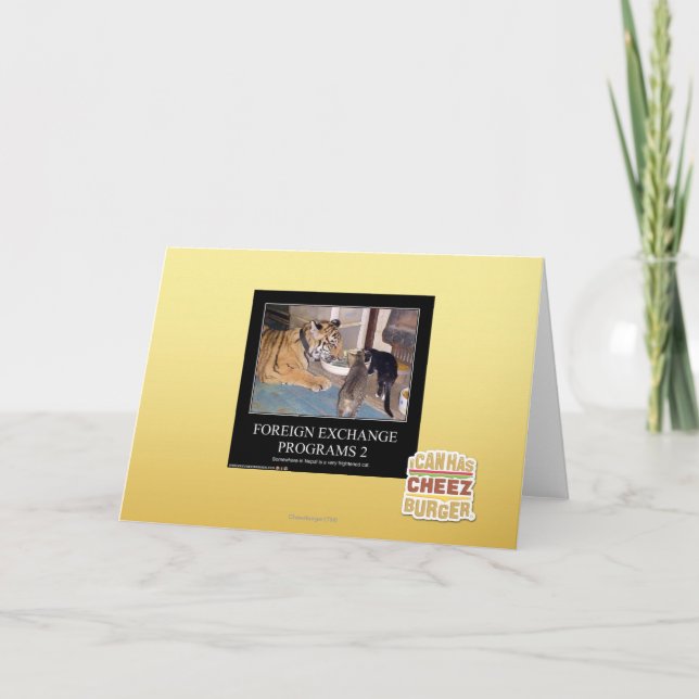 Devisenkurs-Programme 2 Programm (Vorderseite)