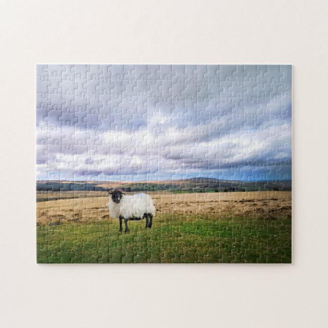 Devon England Landschaft und Schafe Puzzle (Horizontal)