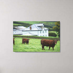 Devon, England Leinwanddruck