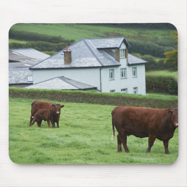 Devon, England Mousepad (Vorne)