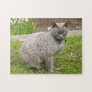 Devon Rex Hauskatze im Garten Puzzle