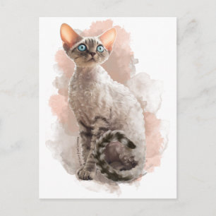 Devon Rex Sofi Postkarte